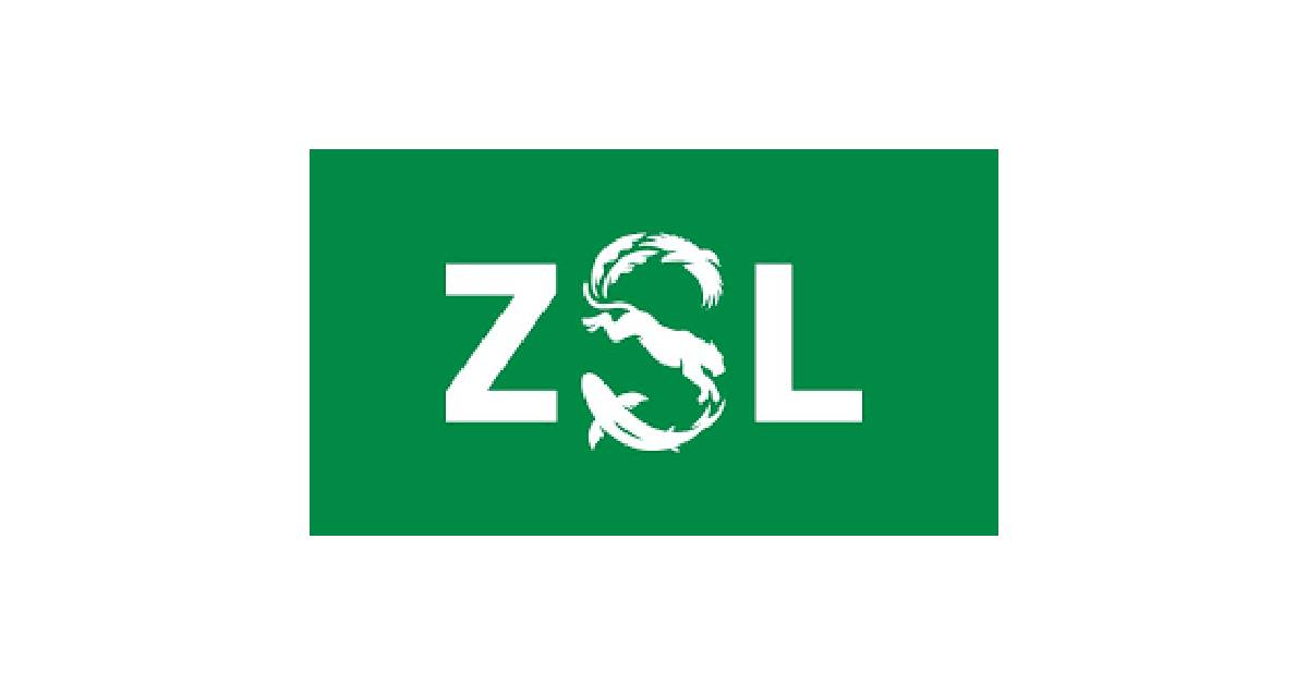 ZSL Internship